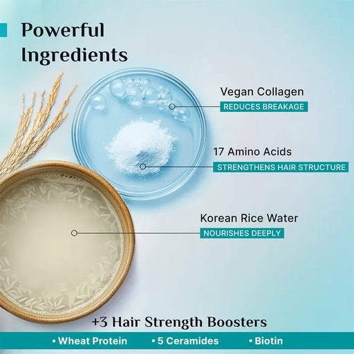 Pilgrim Korean Rice Water & Collagen Advanced Damage Repair Shampoo ...